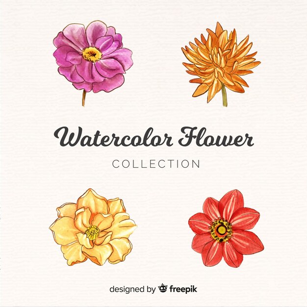 Watercolor flower collection