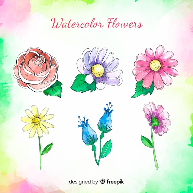 Vettore gratuito collezione di fiori ad acquerelli