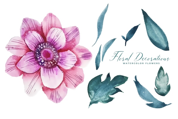 Watercolor flower decoration with leaves elements collection