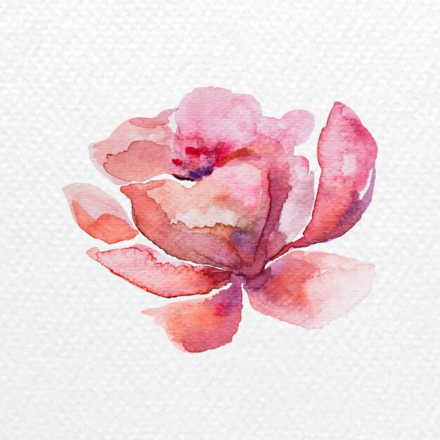 Watercolor flower design element