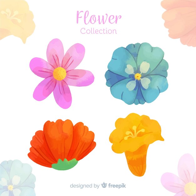 Watercolor flower and leaf collection