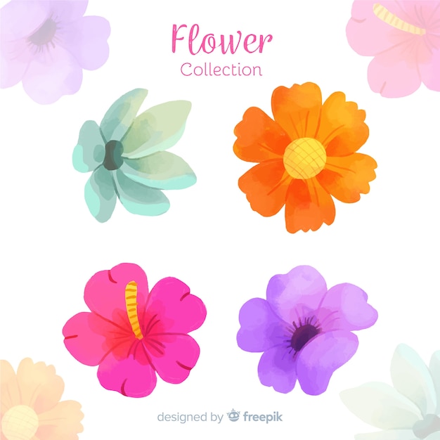 Free vector watercolor flower and leaf collection