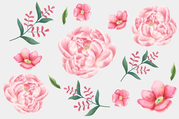 Free vector watercolor flower set