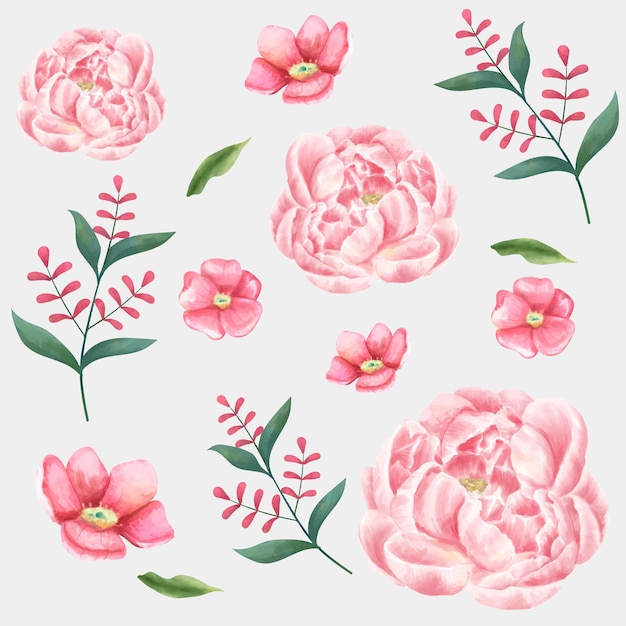 Watercolor flower vector drawing clipart collection