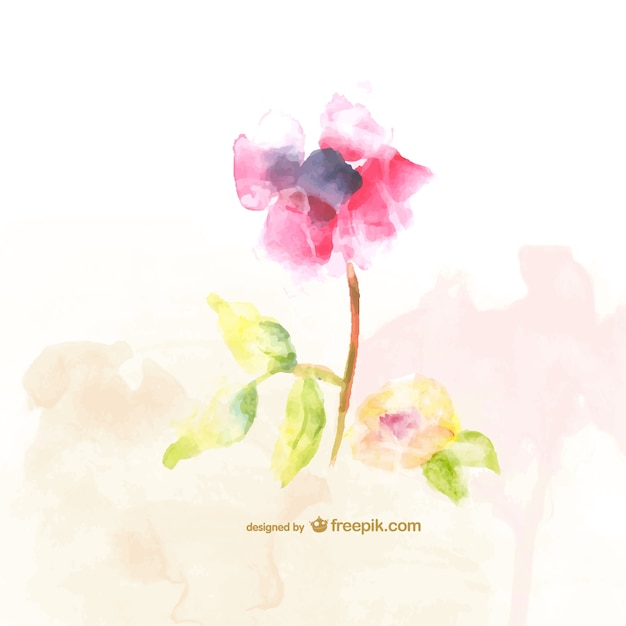 Free vector watercolor flower