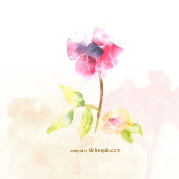 水彩画の花の無料イラスト