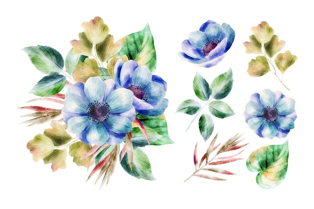 Watercolor flowers collection background