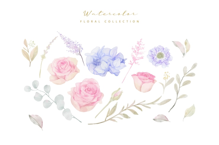 無料Vector 水彩花コレクションベクトル