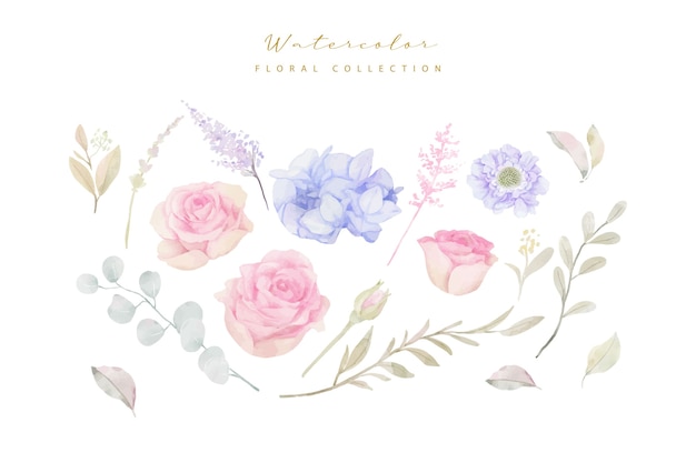 Watercolor flowers collection vector