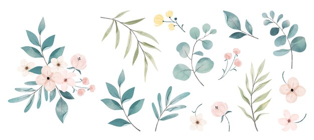 Watercolor flowers collection