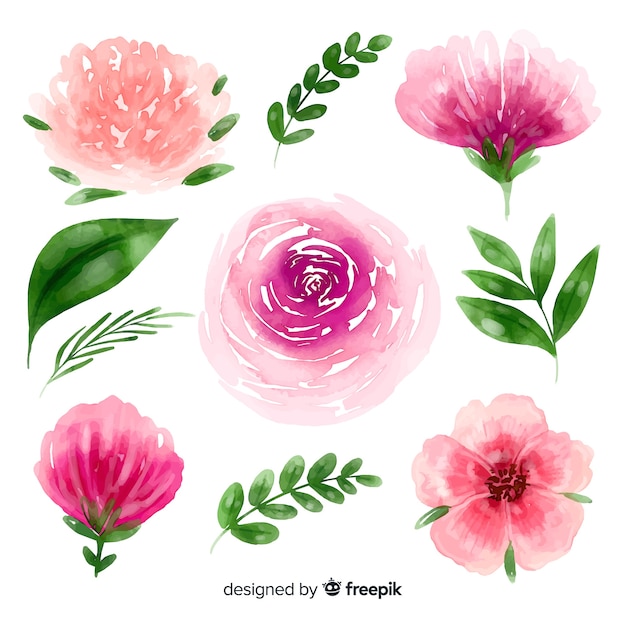 Watercolor flowers and leaves background