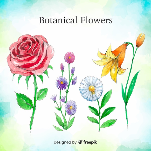 Free vector watercolor flowers and leaves collection