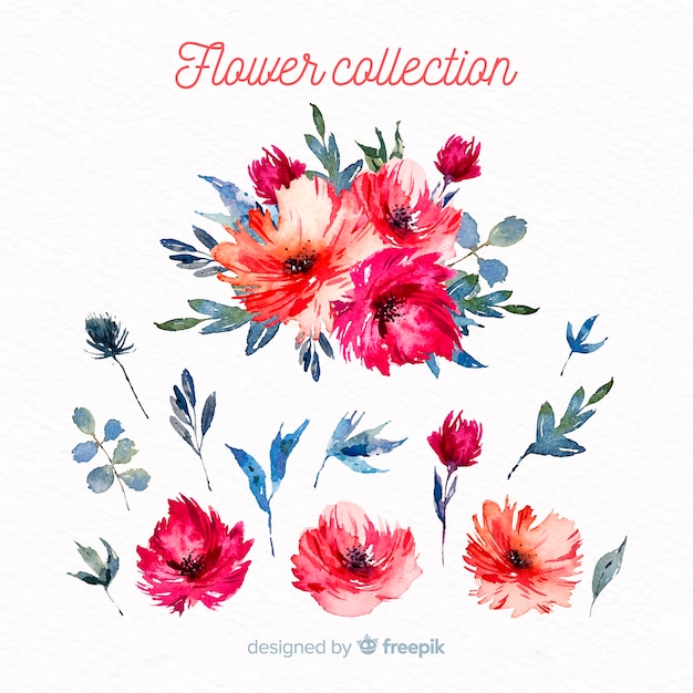 Watercolor flowers and leaves collection