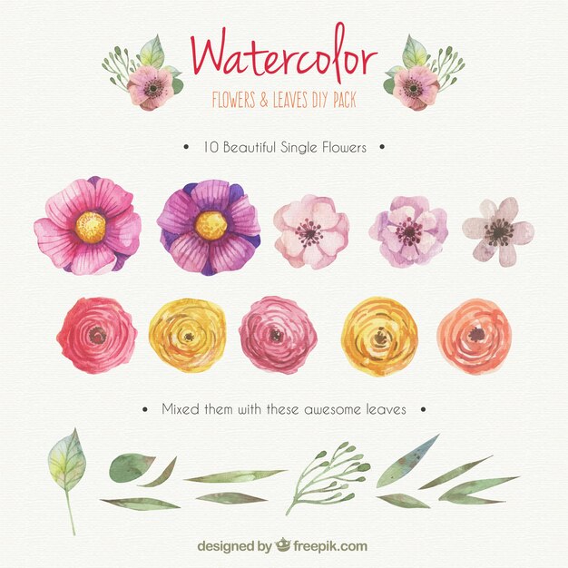 Watercolor flowers and leaves DIY pack