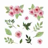 Free vector watercolor flowers and leaves set