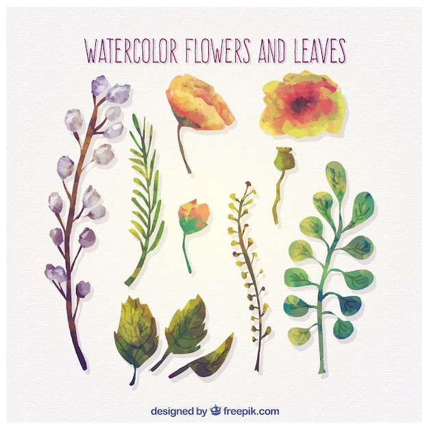 Free vector watercolor flowers and leaves