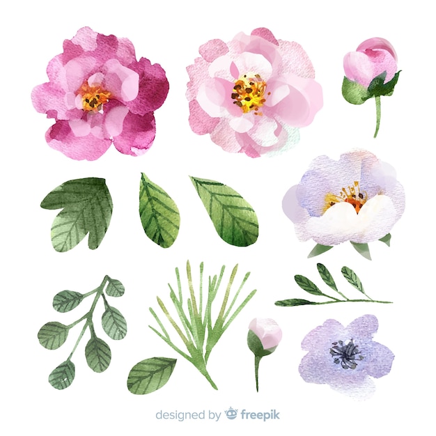 Free vector watercolor flowers and leaves