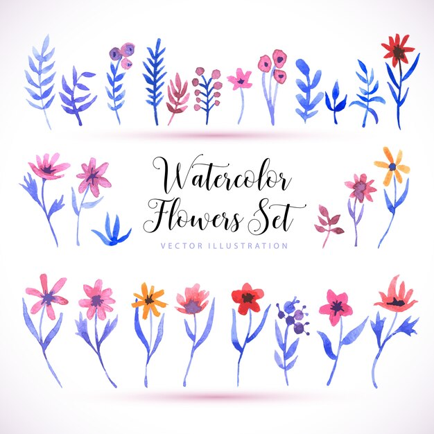 Free vector watercolor flowers set