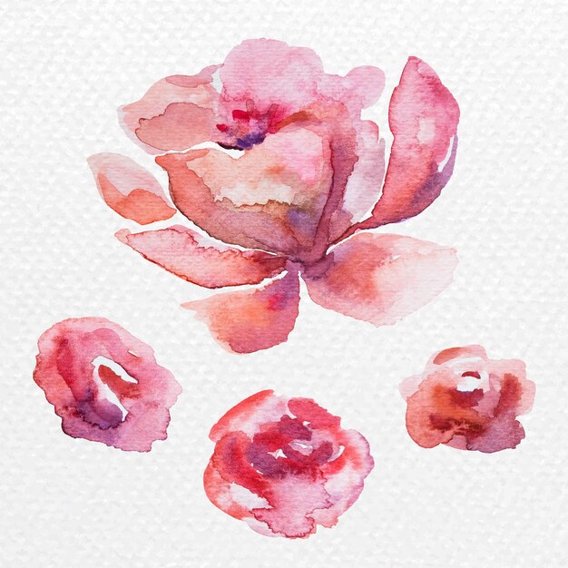 Watercolor flowers