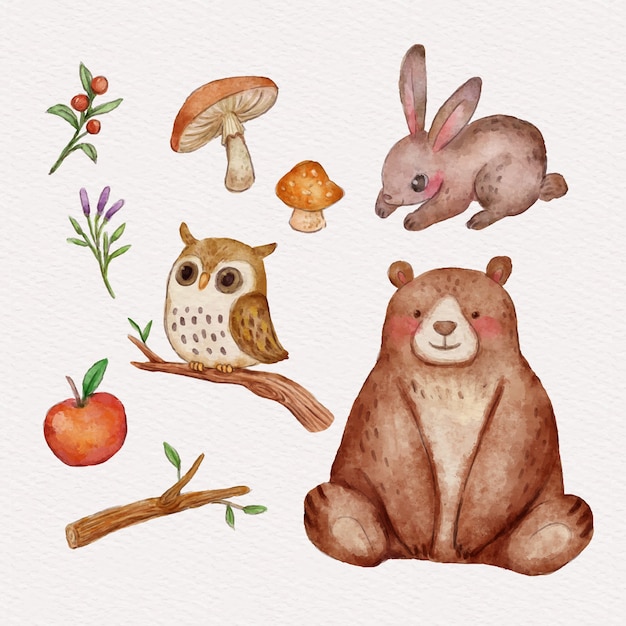 Watercolor forest animals element collection