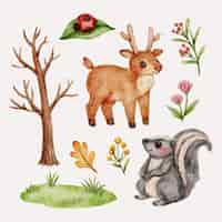 Free vector watercolor forest animals set design