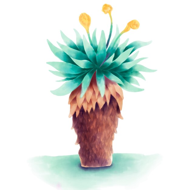 Watercolor frailejon plant illustration