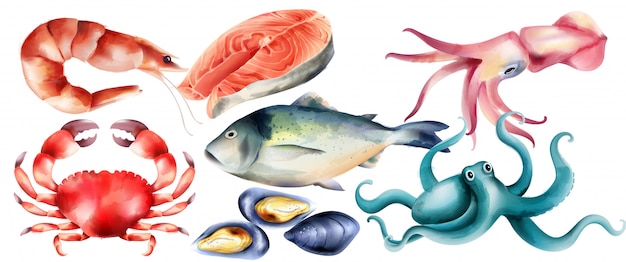 Watercolor fresh fish and mollusc from the sea