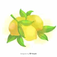 Free vector watercolor fruit background with lemons