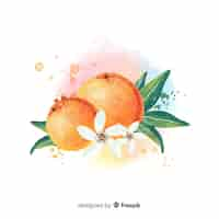 Free vector watercolor fruit background with oranges