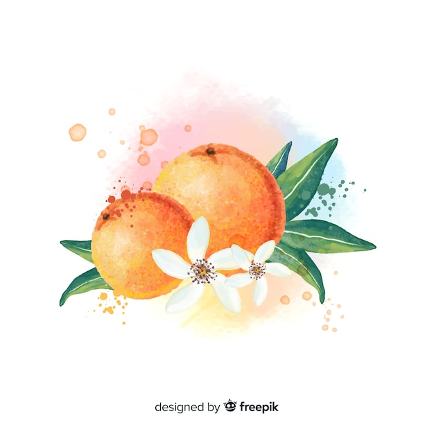 Watercolor fruit background with oranges