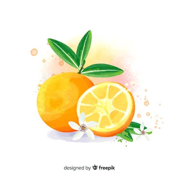 Free vector watercolor fruit background with oranges