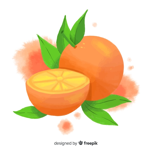 Free vector watercolor fruit background with oranges