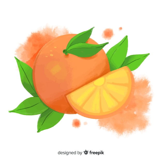 Watercolor fruit background with oranges