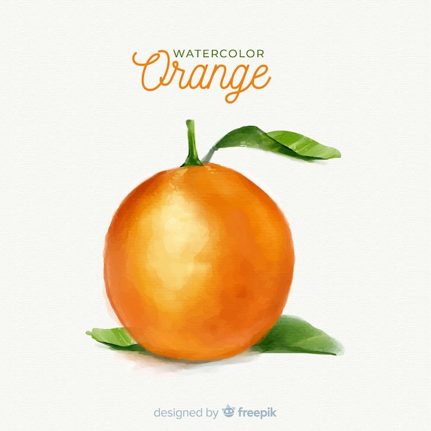오렌지와 수채화 과일 배경