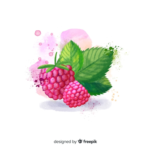 Watercolor fruit background with raspberries