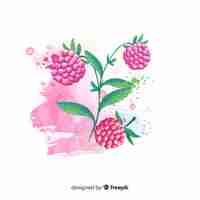 Free vector watercolor fruit background with raspberries