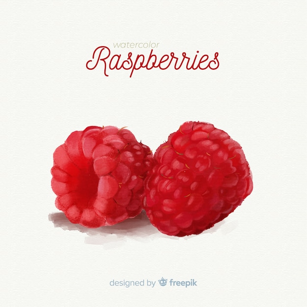 Watercolor fruit background with raspberries