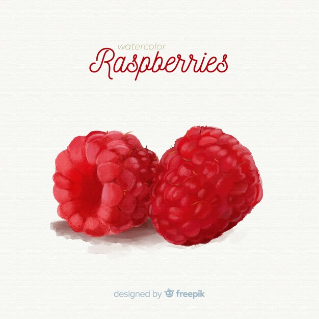 Watercolor fruit background with raspberries