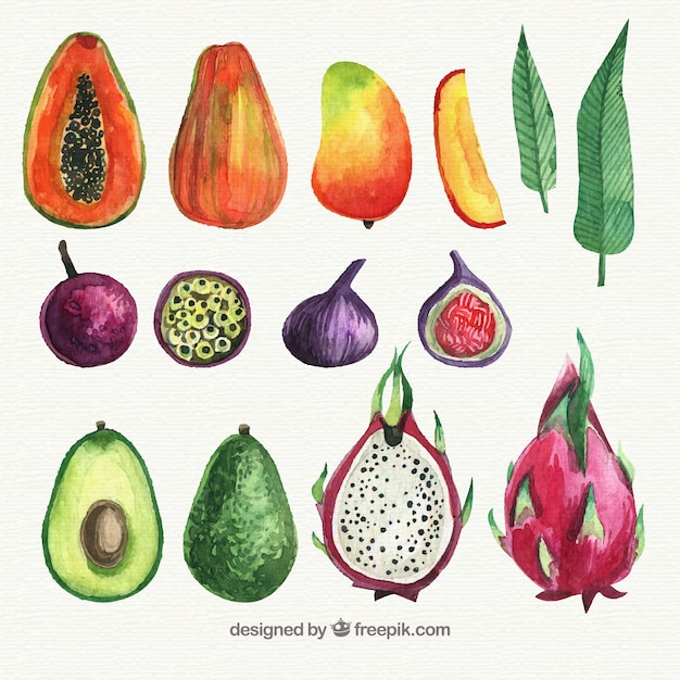 Free vector watercolor fruit set