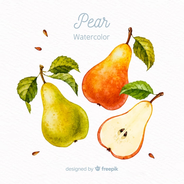 Watercolor fruits background