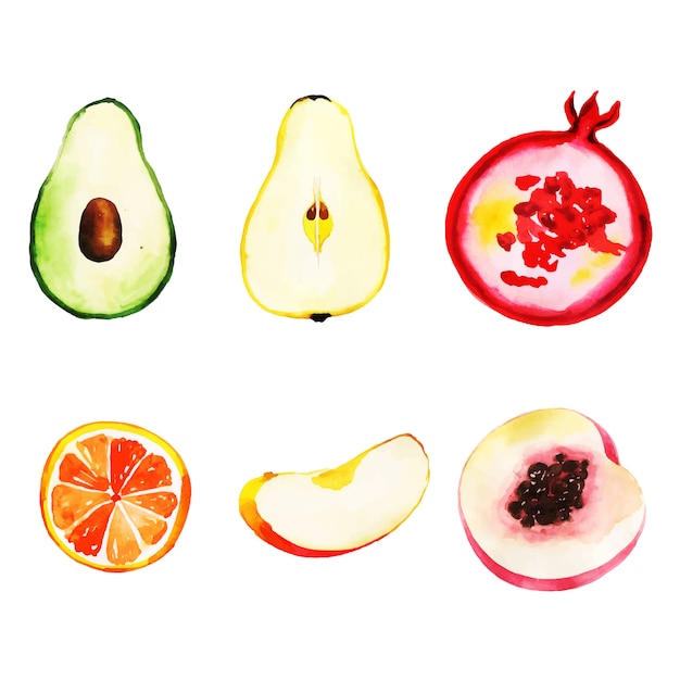 Watercolor Fruits Collection