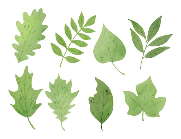 Watercolor green leaves pack