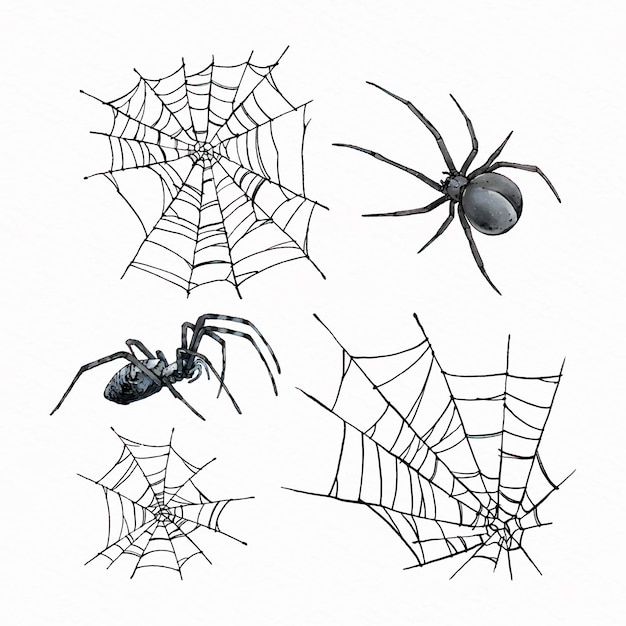 Коллекция акварелей хэллоуин пауков
