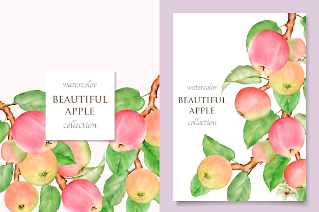 watercolor hand drawn apple card set