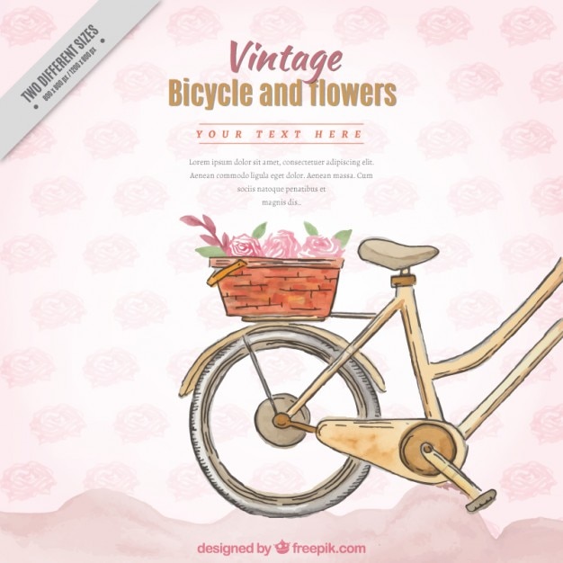 Watercolor hand drawn bike with basket in vintage style background