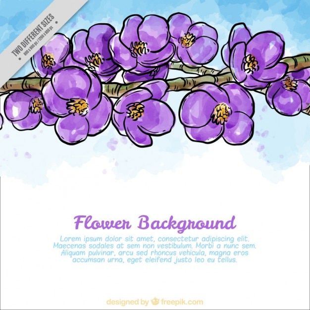 Free vector watercolor hand drawn branch with flowers background