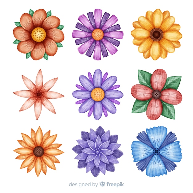 Free vector watercolor hand drawn flower set