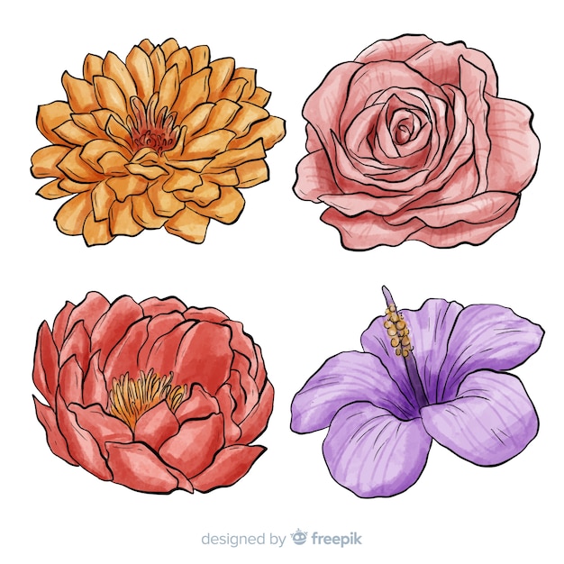 Vettore gratuito set di fiori disegnati a mano ad acquerello