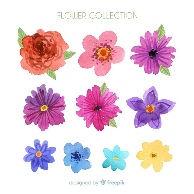 Watercolor hand drawn flowers collection