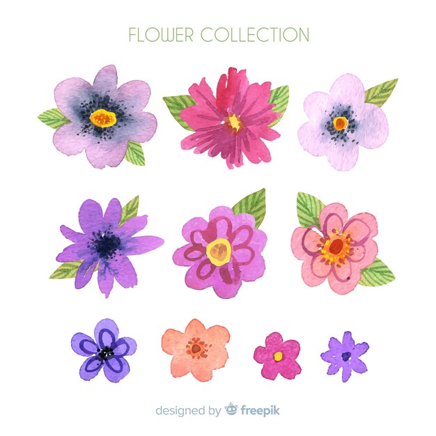 Watercolor hand drawn flowers collection